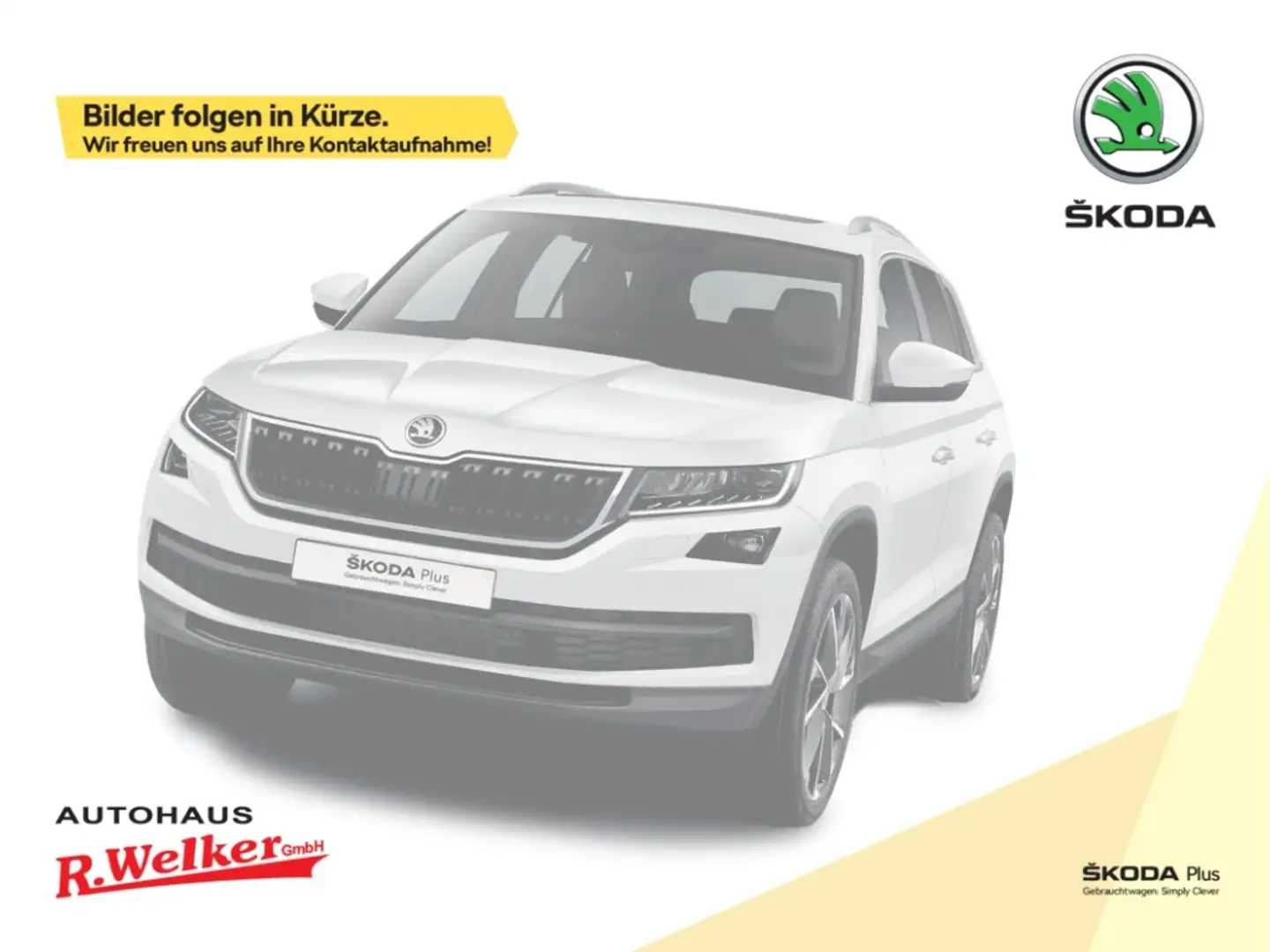 Skoda Kodiaq Sportline 2.0 TDI 142kW 4x4 ''AHK''Pano-Schiebedac Grau - 1
