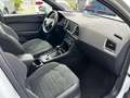 SEAT Ateca 2.0 TDI DSG 4Drive XCELLENCE Weiß - thumbnail 14
