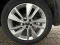 Volkswagen T-Cross Life 1.0 TSI DSG / Matrix-LED ACC Kamera Shz vo... Grau - thumbnail 14