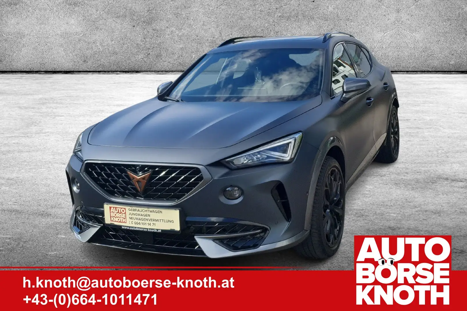 CUPRA Formentor VZ 2,0 TSI 4Drive DSG, Panorama,Leder,AHV,19Zoll Gri - 1