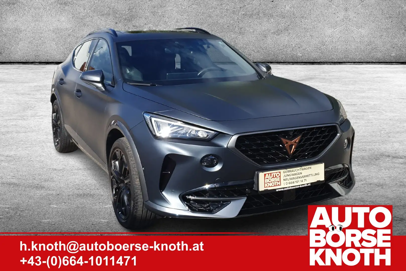 CUPRA Formentor VZ 2,0 TSI 4Drive DSG, Panorama,Leder,AHV,19Zoll Gri - 2