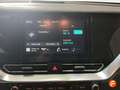 Kia Niro e- 100kW (136CV) Drive Amarillo - thumbnail 15
