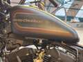 Harley-Davidson Iron 1200 Noir - thumbnail 7