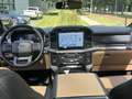 Ford F 150 3.5 V6 EcoBoost Lariat Full-specs BPM-VRIJ ! Wit - thumbnail 5