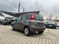 Fiat New Panda Easy 1.2 8V *Klimaanlage PDC DAB+* Gri - thumbnail 2