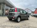 Fiat New Panda Easy 1.2 8V *Klimaanlage PDC DAB+* Gri - thumbnail 4