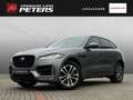 Jaguar F-Pace 30d R-Sport BlackPack 19''LM Pano AHK ACC DAB 360k Grau - thumbnail 1