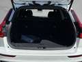 Volvo V60 T8 PHEV AWD Plus Dark *360° PANO BLIS HUD* Weiß - thumbnail 10