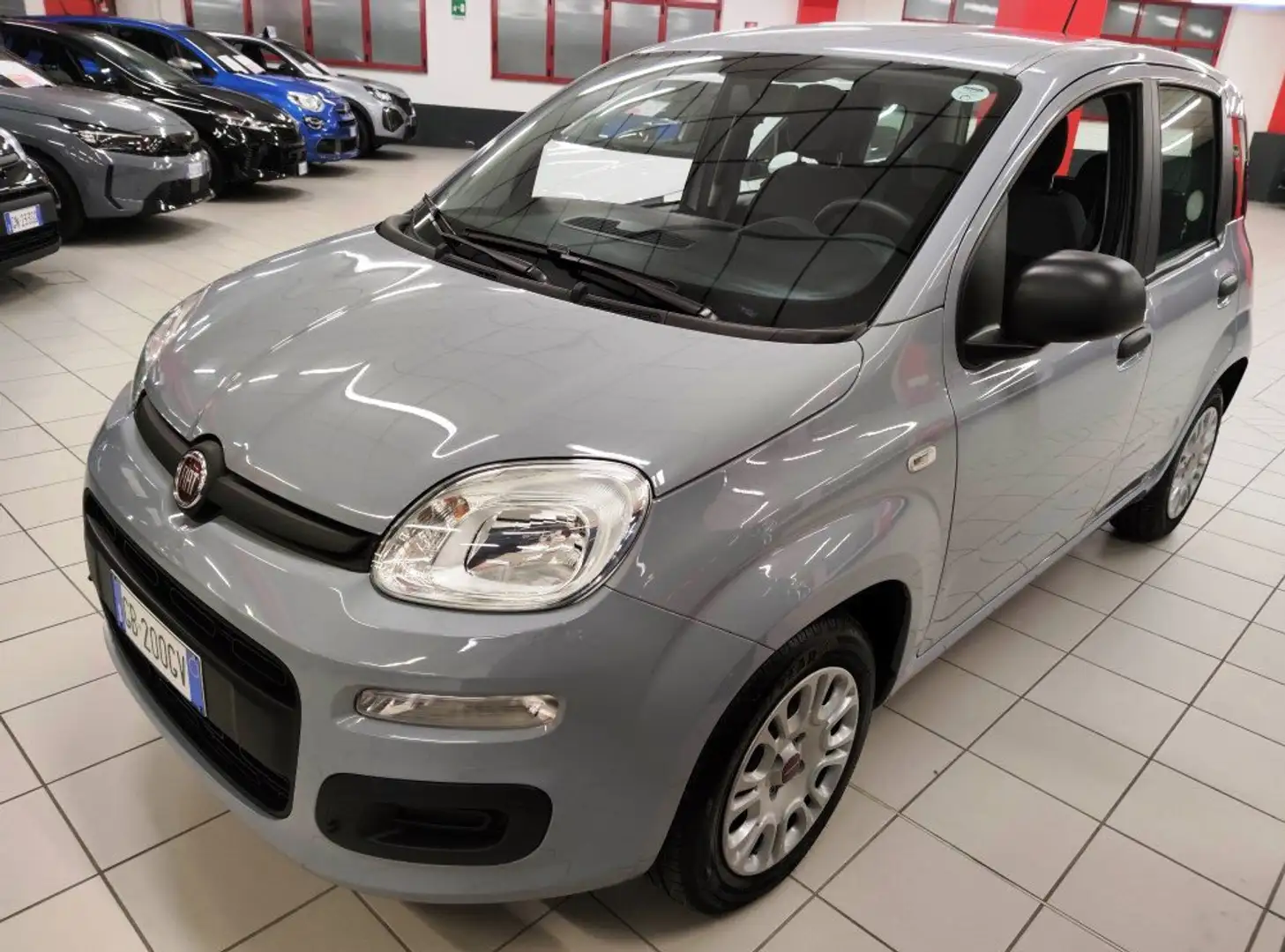 Fiat Panda 1.2 69cv Easy "SUPER PROMO" Grigio - 1