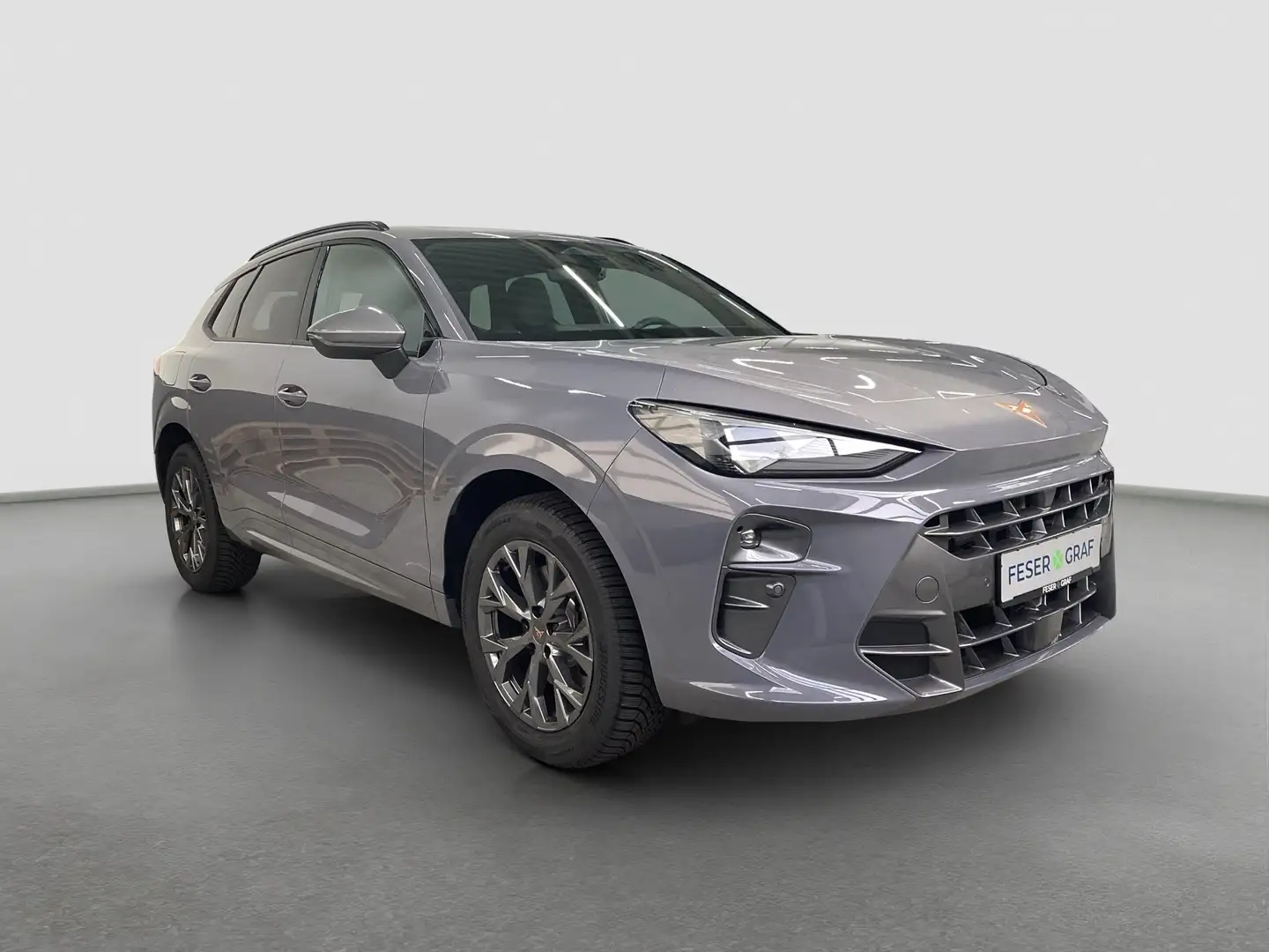 CUPRA Terramar 2.0 TSI 4Drive VZ LED*NAVI*PANO*HEAD-UP Grau - 2