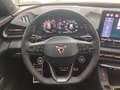 CUPRA Terramar 2.0 TSI 4Drive VZ LED*NAVI*PANO*HEAD-UP Grau - thumbnail 9