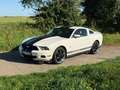 Ford Mustang V6 Facelift Modell 2010 Weiß - thumbnail 1