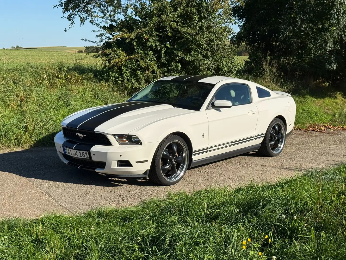Ford Mustang V6 Facelift Modell 2010 Weiß - 1