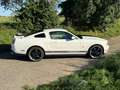Ford Mustang V6 Facelift Modell 2010 Weiß - thumbnail 6