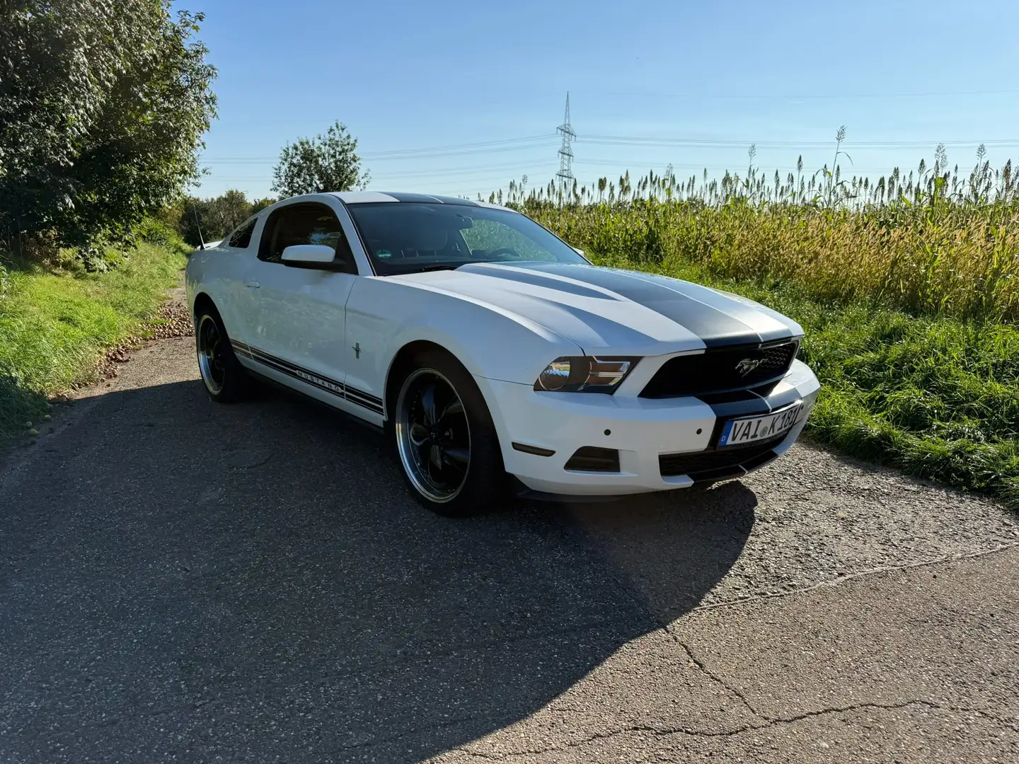 Ford Mustang V6 Facelift Modell 2010 Weiß - 2