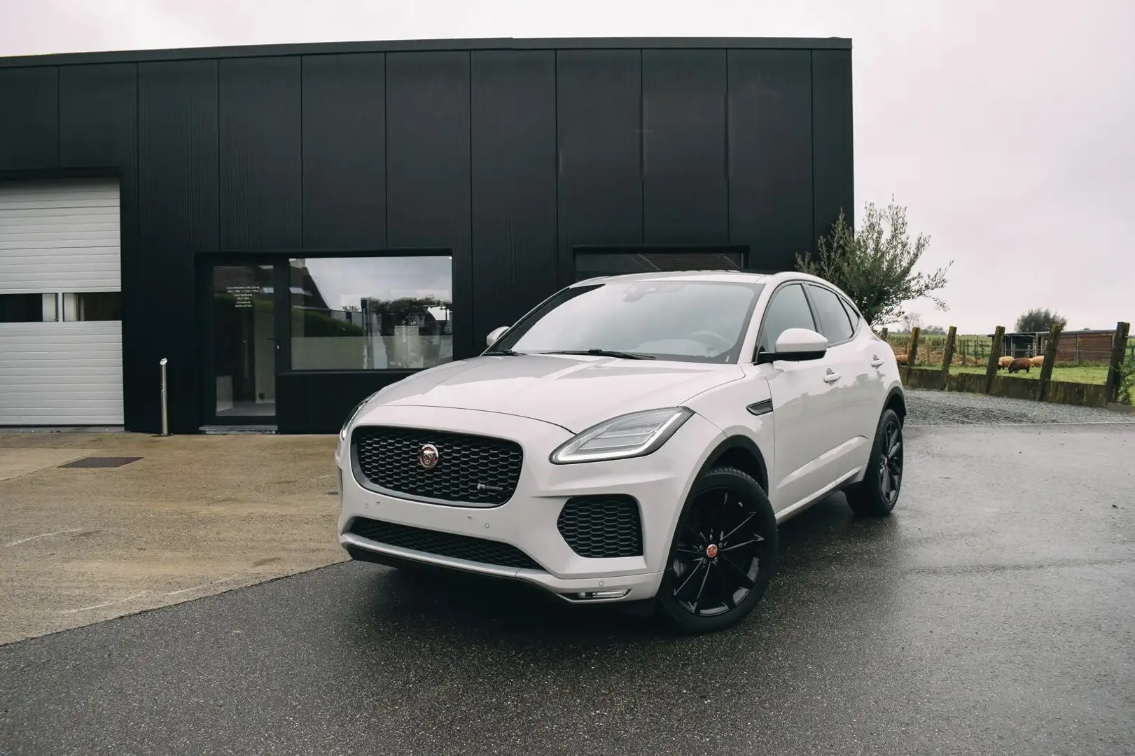 Jaguar E-Pace D150 AWD Aut. R-Dynamic - 1