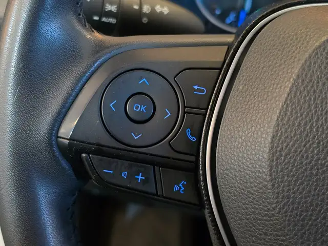 Toyota RAV4 view 18