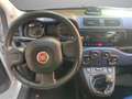 Fiat Panda Panda III 2012 1.2 Lounge 69cv E6 Grigio - thumbnail 14
