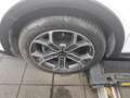 Kia XCeed X Ceed 1.6 CRDI Vision T-Leder Navi LED Shz RFK Weiß - thumbnail 10