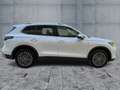 Volkswagen Tiguan 2.0 TDI DSG ELEGANCE 5JG+IQ+NAV+AHK+STHZG Weiß - thumbnail 7