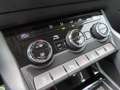 Skoda Karoq 1.5 TSI ACT Business Edition | camera | adaptive c Grijs - thumbnail 18