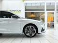 Skoda Octavia Combi RS Plus 4x4 Panorama Standheizung Blanc - thumbnail 5