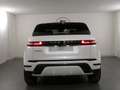 Land Rover Range Rover Evoque D165 Dynamic SE | Auto Stahl Wien 23 Weiß - thumbnail 7