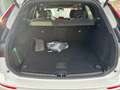 Volvo XC60 Black Edition Ultra, T6 AWD Plug-in Hybrid, Elektrisch/Benzi Weiß - thumbnail 10