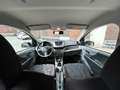 Suzuki Alto Alto 1.0 Comfort Plus Zwart - thumbnail 13