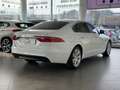 Jaguar XF 2.0 D 180 CV aut. Portfolio MOTORE NUOVO Bianco - thumbnail 6
