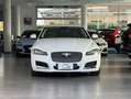 Jaguar XF 2.0 D 180 CV aut. Portfolio MOTORE NUOVO Bianco - thumbnail 2