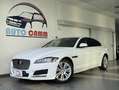 Jaguar XF 2.0 D 180 CV aut. Portfolio MOTORE NUOVO Bianco - thumbnail 1