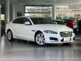 Jaguar XF 2.0 D 180 CV aut. Portfolio MOTORE NUOVO Bianco - thumbnail 3