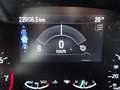 Ford Focus Cool & Connect *Winter-/Komfort-Paket* Blanco - thumbnail 17