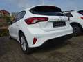 Ford Focus Cool & Connect *Winter-/Komfort-Paket* Blanco - thumbnail 5