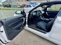 BMW 220 2-serie Cabrio 220i Executive Wit - thumbnail 16