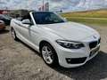 BMW 220 2-serie Cabrio 220i Executive Wit - thumbnail 2