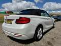 BMW 220 2-serie Cabrio 220i Executive Wit - thumbnail 10