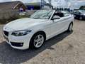 BMW 220 2-serie Cabrio 220i Executive Wit - thumbnail 7