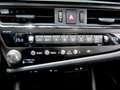 Lexus ES 300 h Business Line LED, Navi, Kamera, SHZ Grijs - thumbnail 14