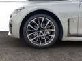 BMW 730 d xDrive Aut. M-Sportpaket  360° Gris - thumbnail 20