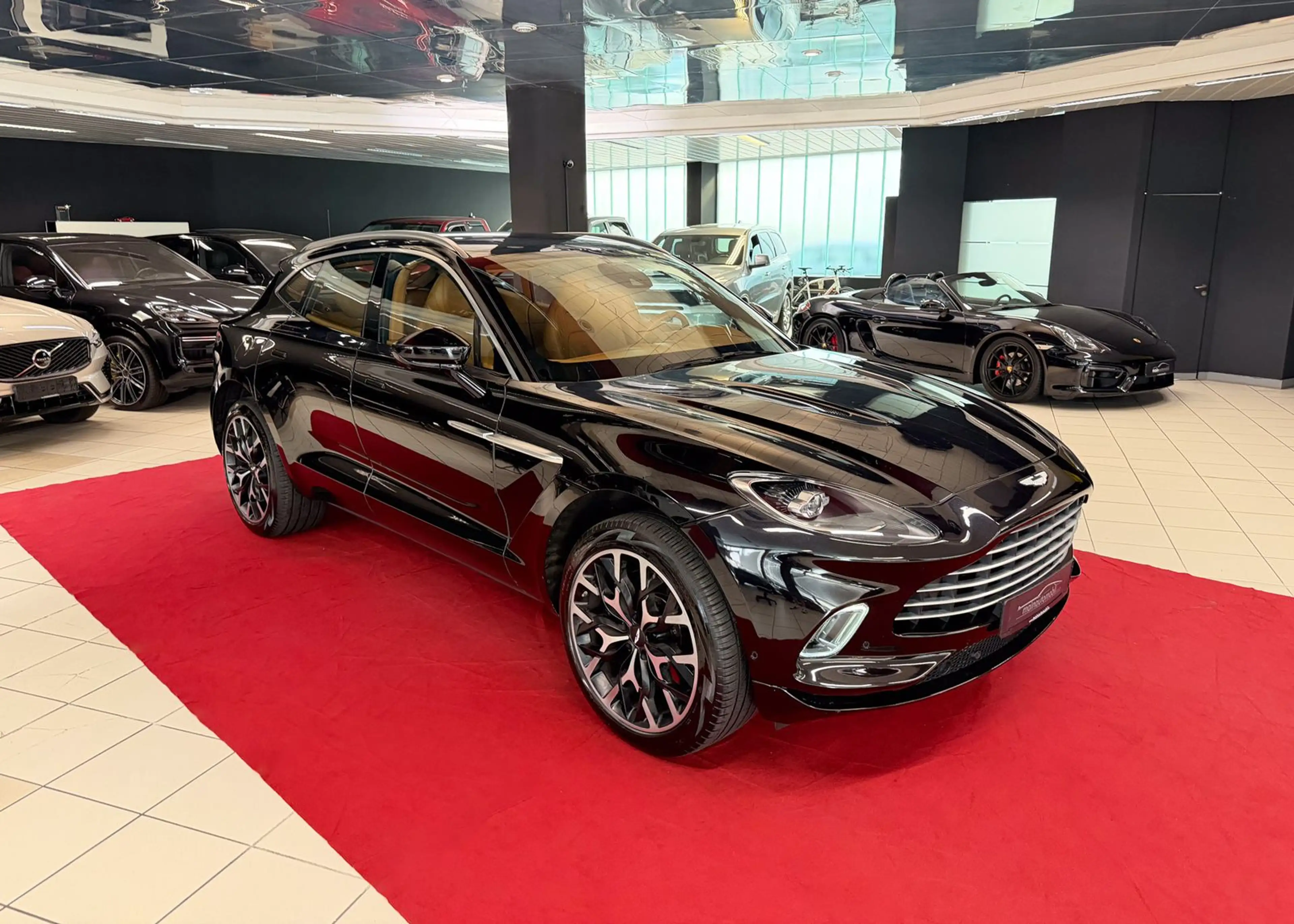 Aston Martin DBX 550 MWST ACC Pano Massage 22" Digitaltacho — photo 11