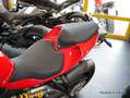 Ducati sofort verfügbar Rot - thumbnail 8