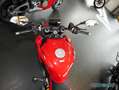 Ducati sofort verfügbar Rot - thumbnail 10