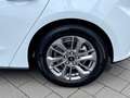 Ford Focus Titanium LED Winter-Paket Navigation Weiß - thumbnail 13