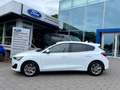 Ford Focus Titanium LED Winter-Paket Navigation Weiß - thumbnail 4