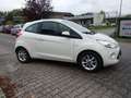 Ford Ka/Ka+ Cool & Sound Edition SHZ MFL M&S Weiß - thumbnail 3