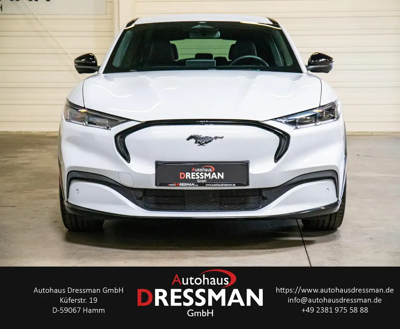 Ford AWD MATRIX B&O ACC - 2
