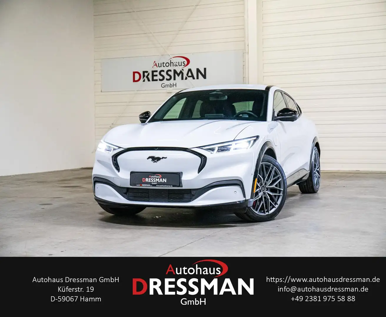 Ford AWD MATRIX B&O ACC - 1