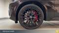 BMW X6 xDrive40d A M-Sport,SkyLou,AHK,HUD,IAL,LM22" Schwarz - thumbnail 3